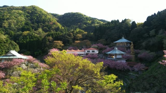 一心寺の写真