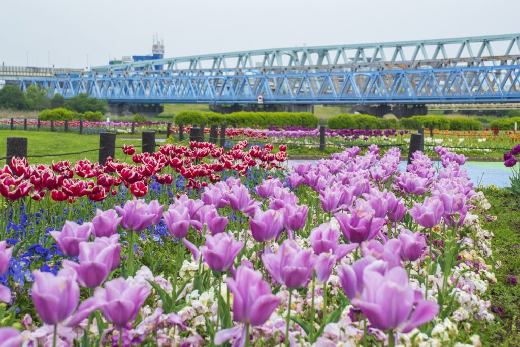 東京都足立区の虹の広場
