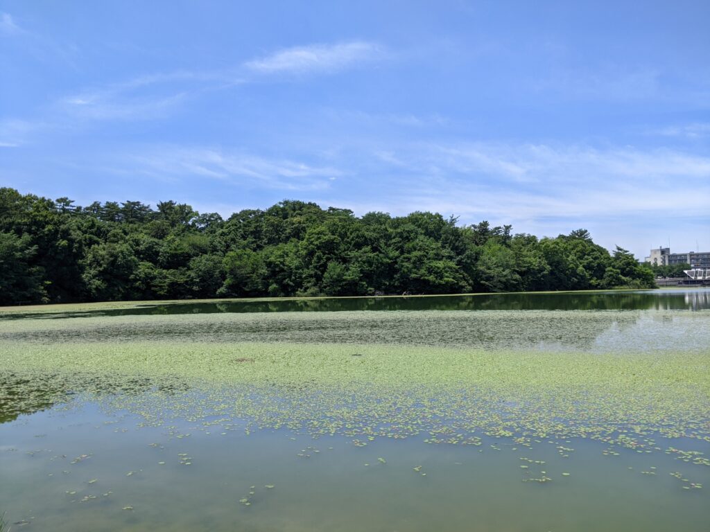名古屋市名東区の池