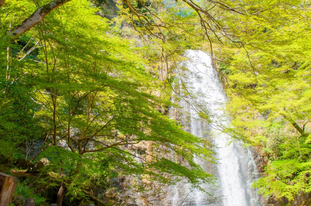 大阪府茨木市の箕面の滝
