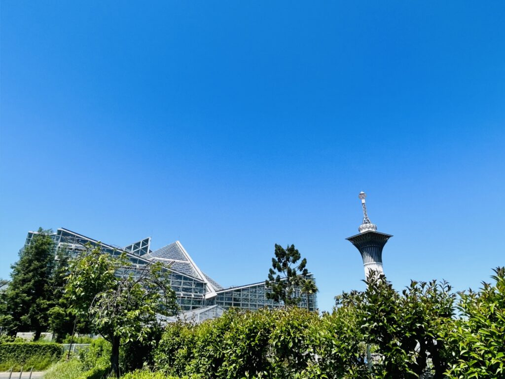 大阪市鶴見区の花博記念公園