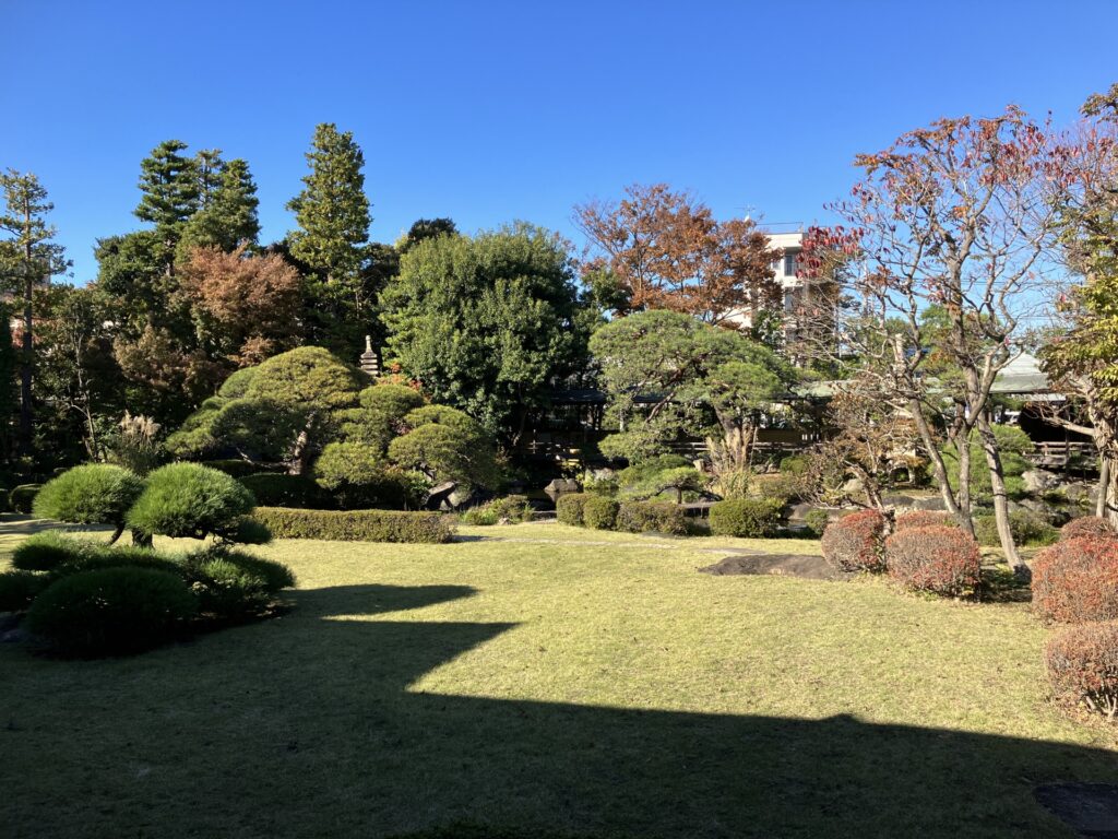 東京都葛飾区の紅葉