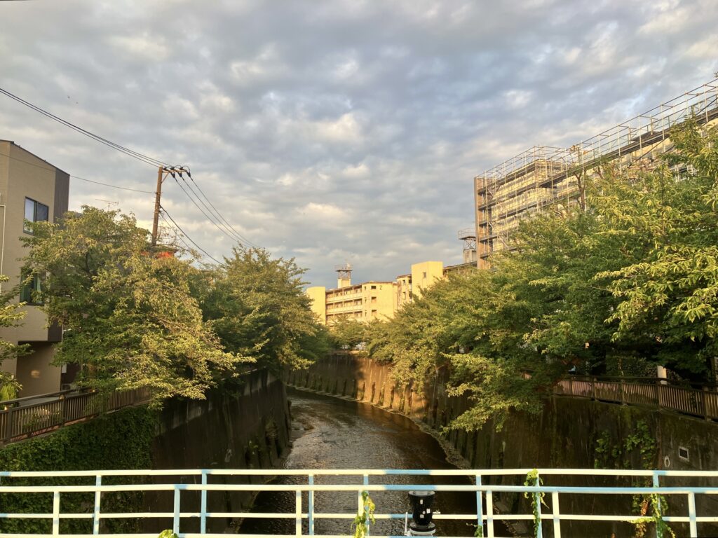 東京都板橋区の石神井川