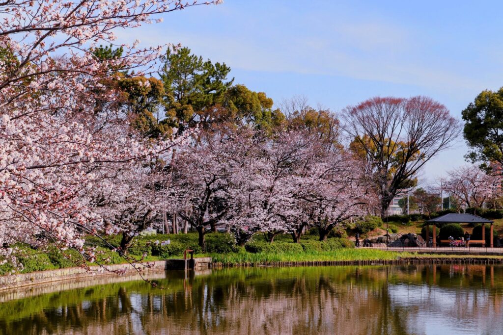 名古屋市名東区の池