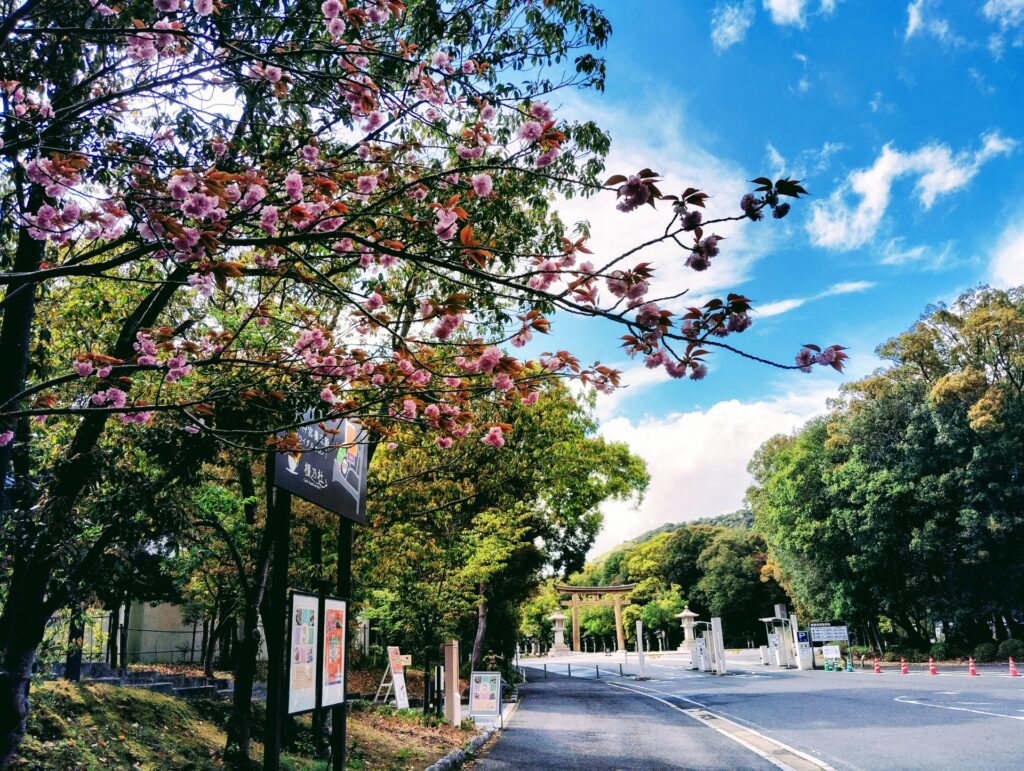 橿原市の橿原神宮と桜
