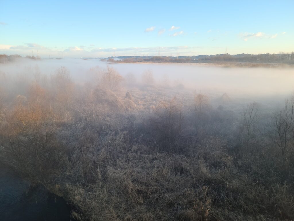 熊本県朝の川霧