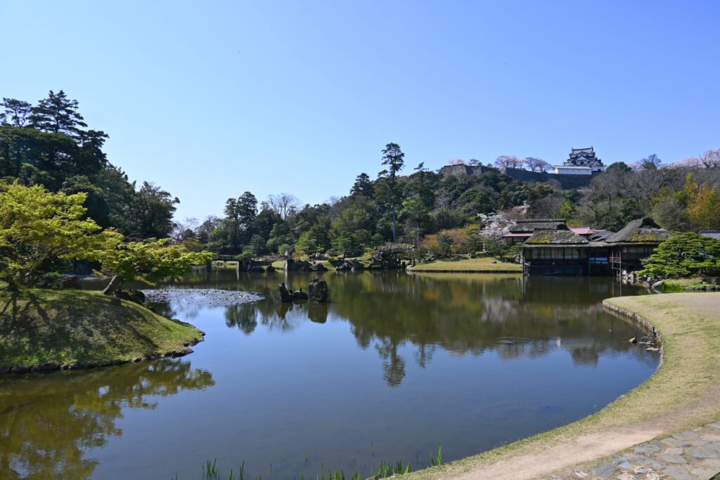 彦根市の玄宮園