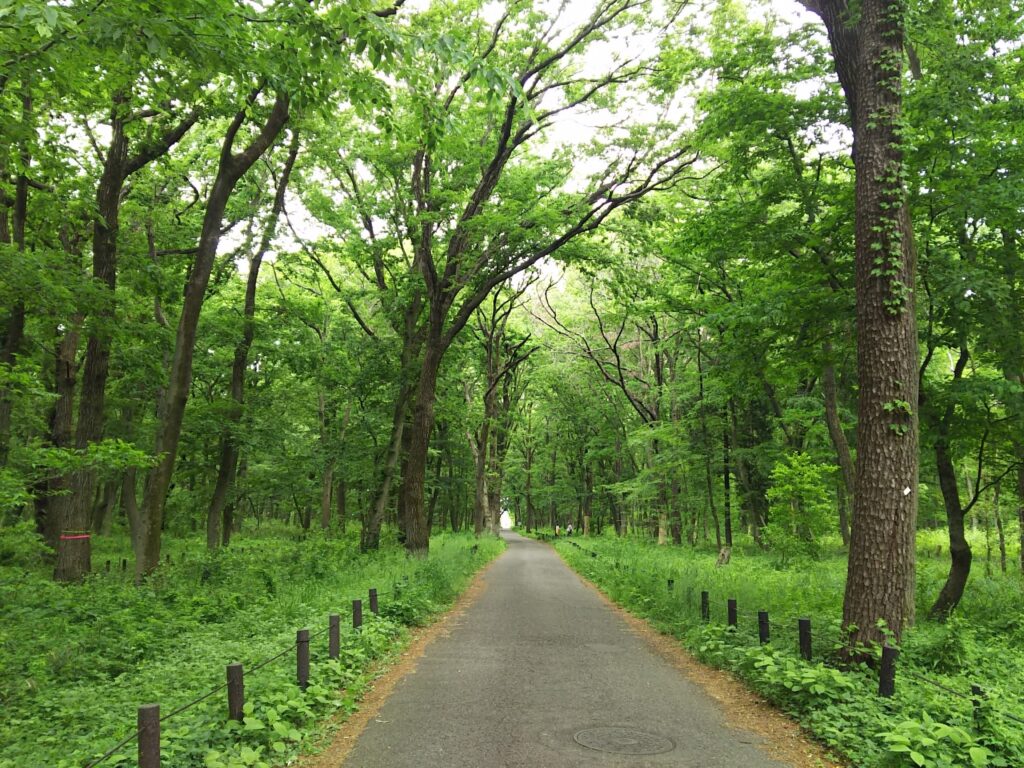 静岡県掛川市の緑地 静岡県掛川市の緑地