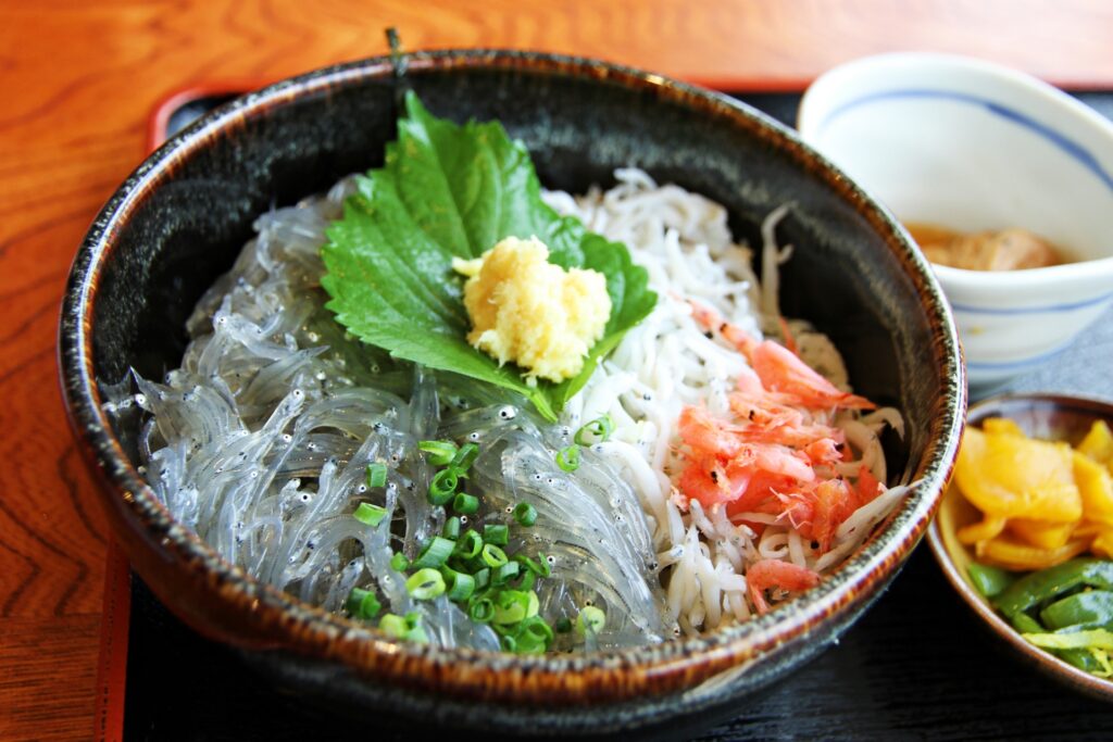 神奈川県平塚市のシラス丼