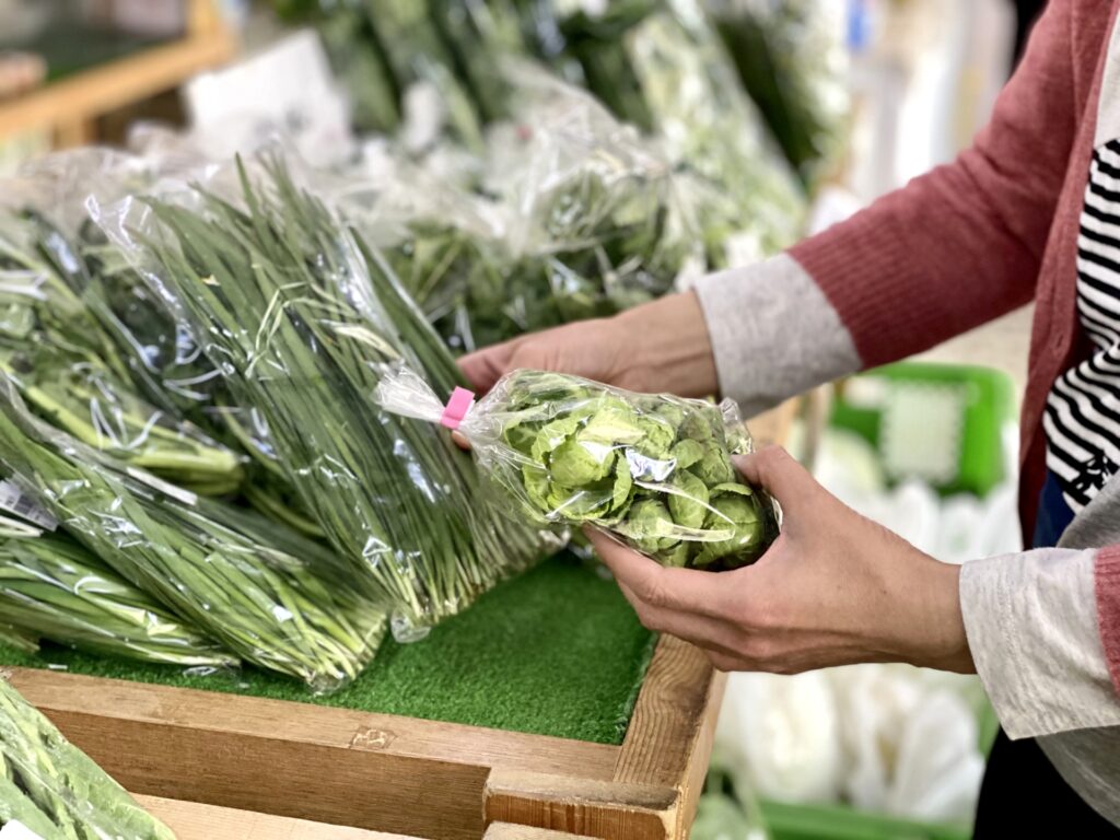 福岡市早良区の野菜