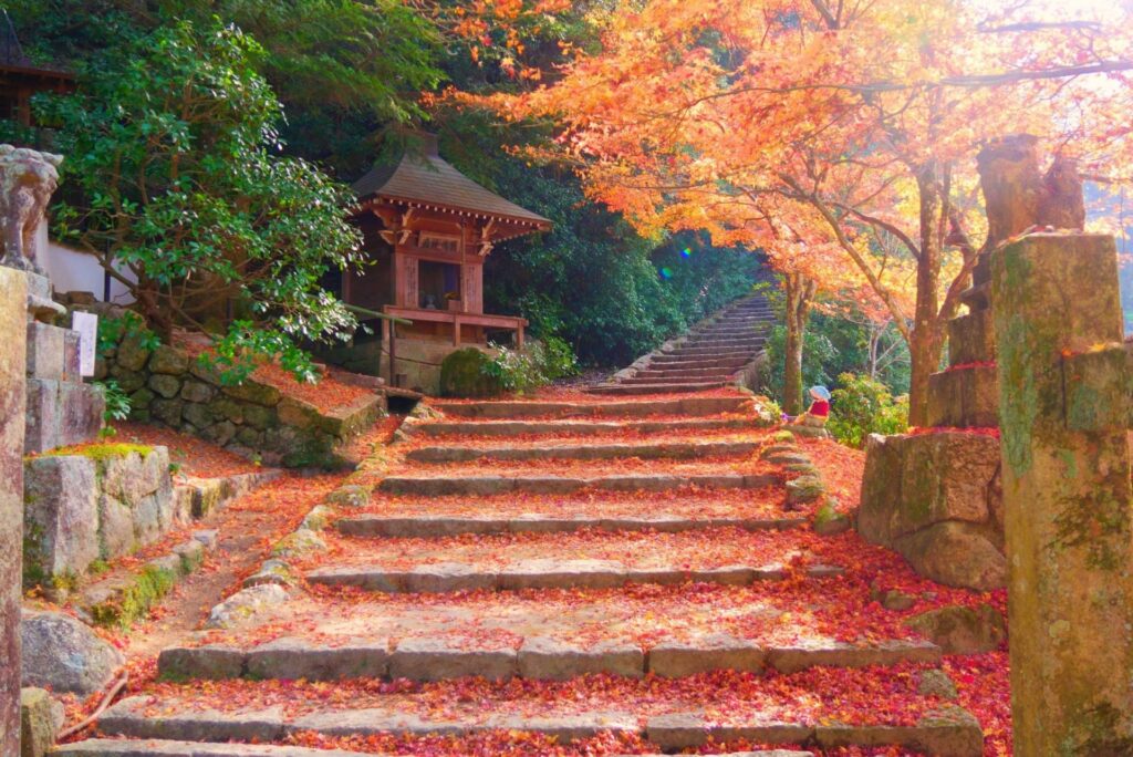 広島市佐伯区の紅葉に染まった山道