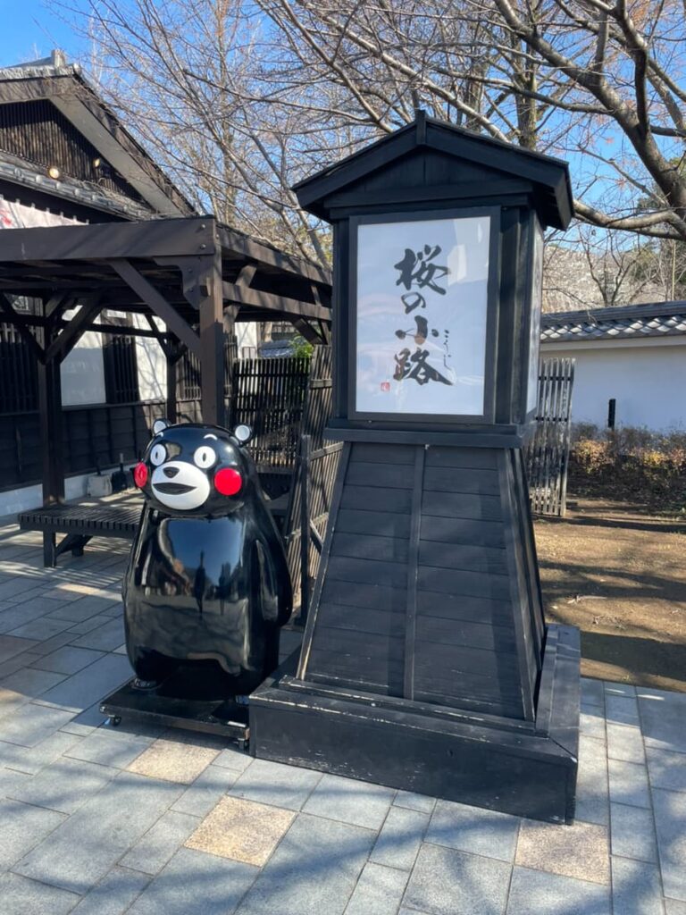 桜の小路の写真