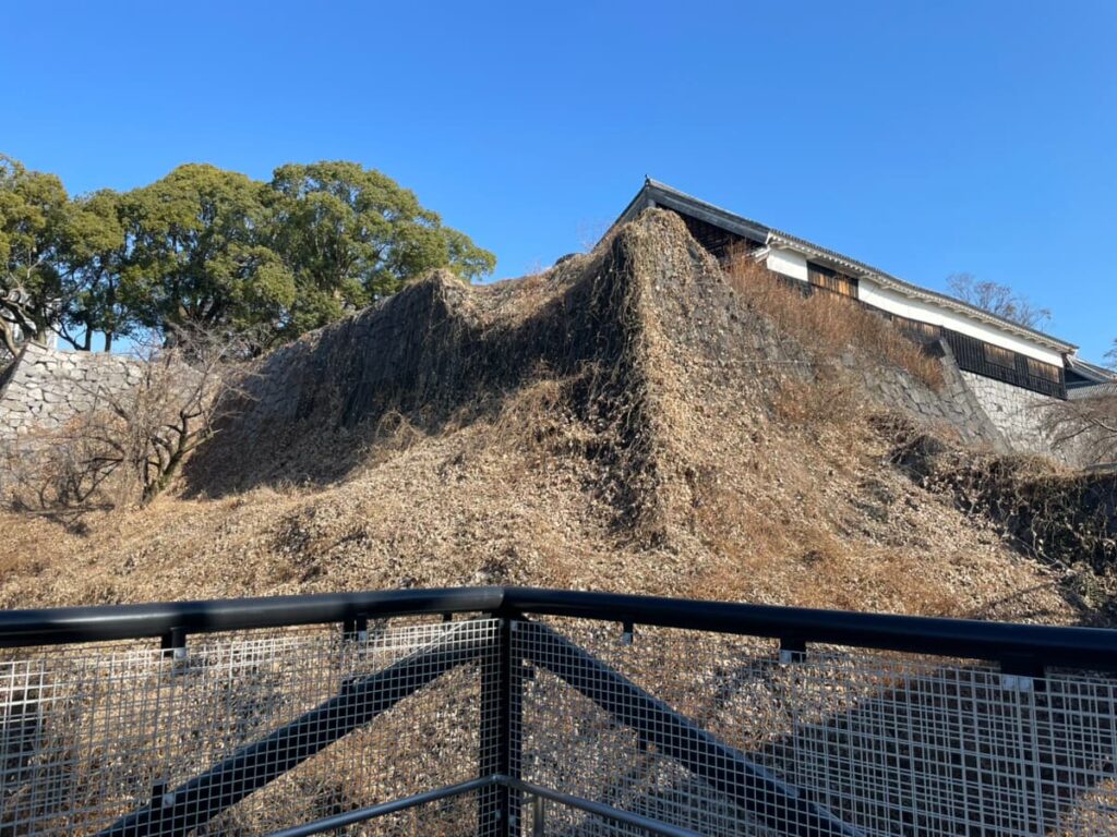 熊本城の外壁の写真