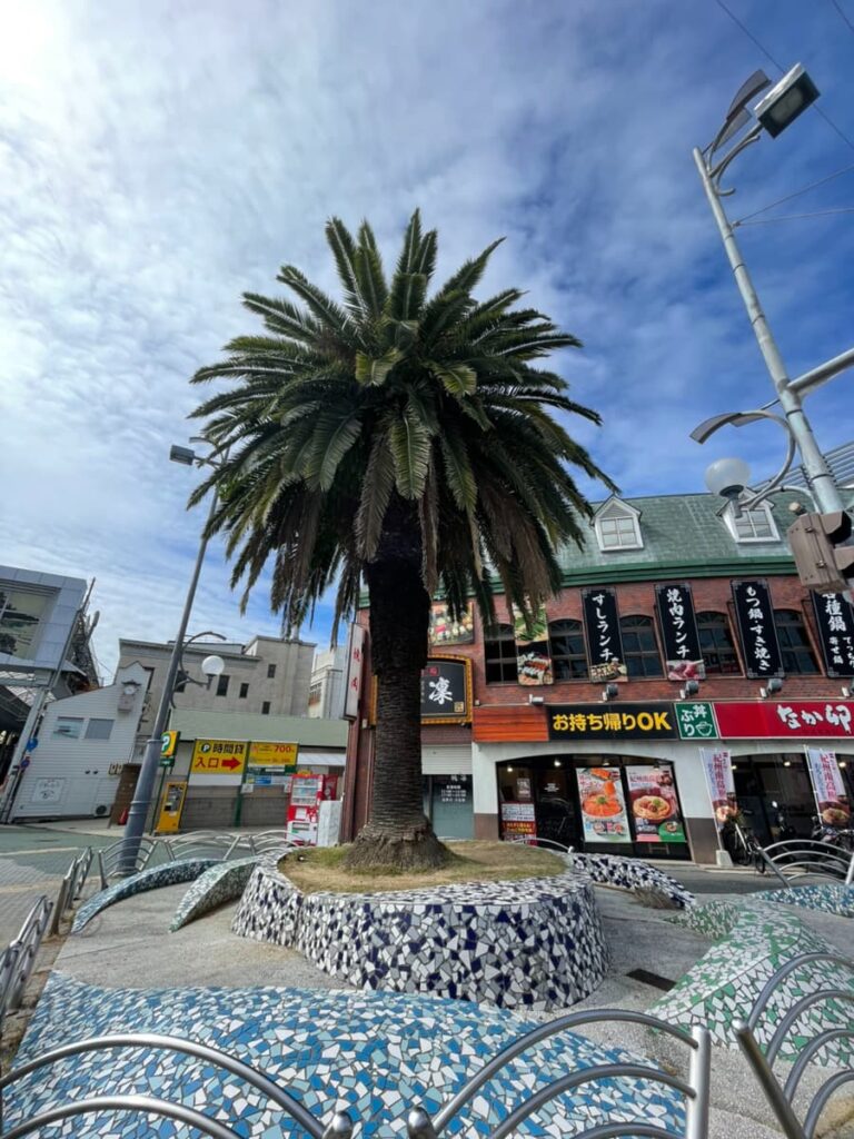 岸和田駅前のヤシの木の写真