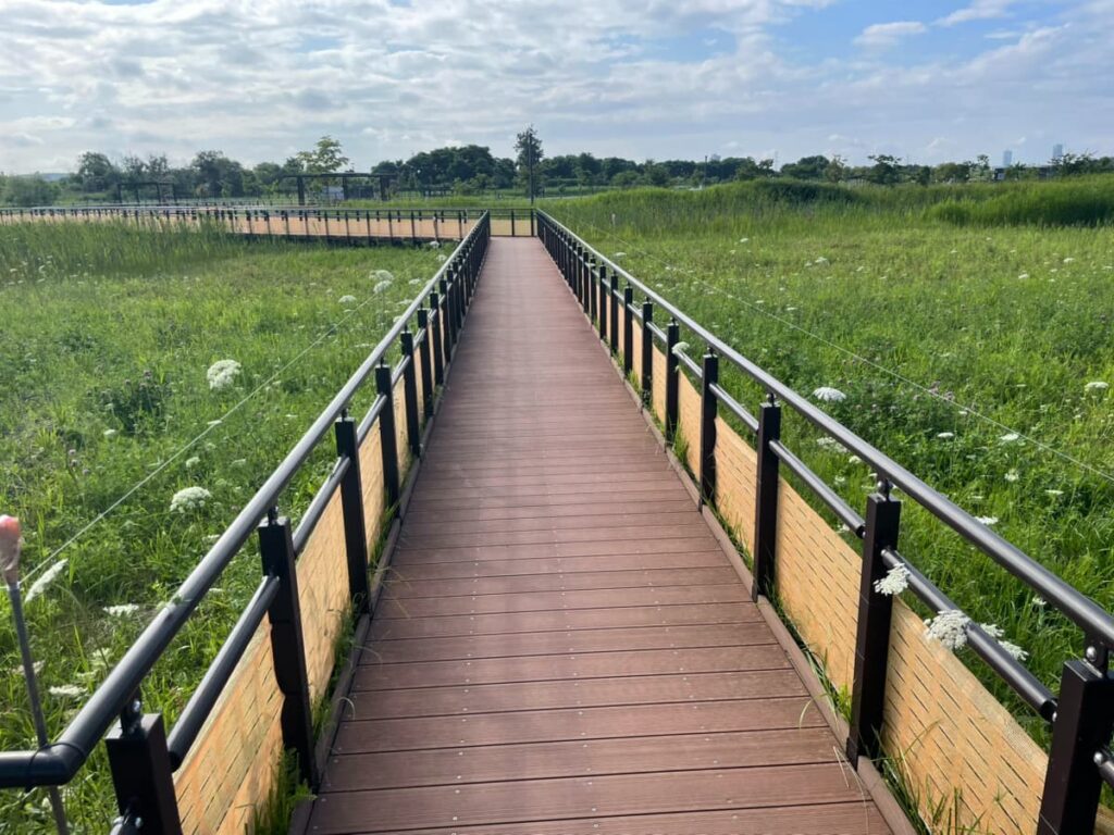 厚別山本公園の写真