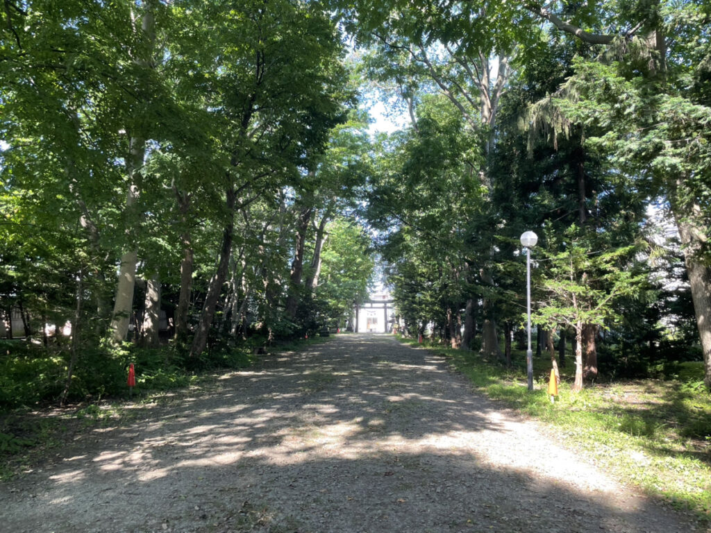 信濃神社の鳥居と木々に囲まれた参道