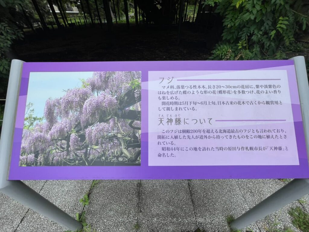 天神山緑地