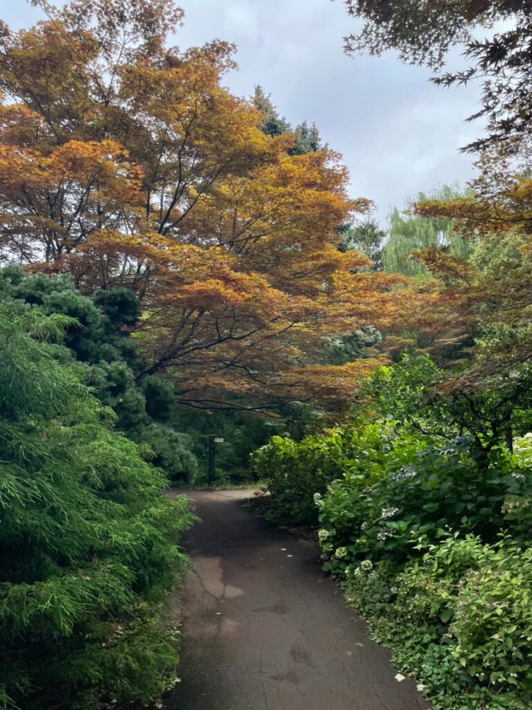 豊平公園