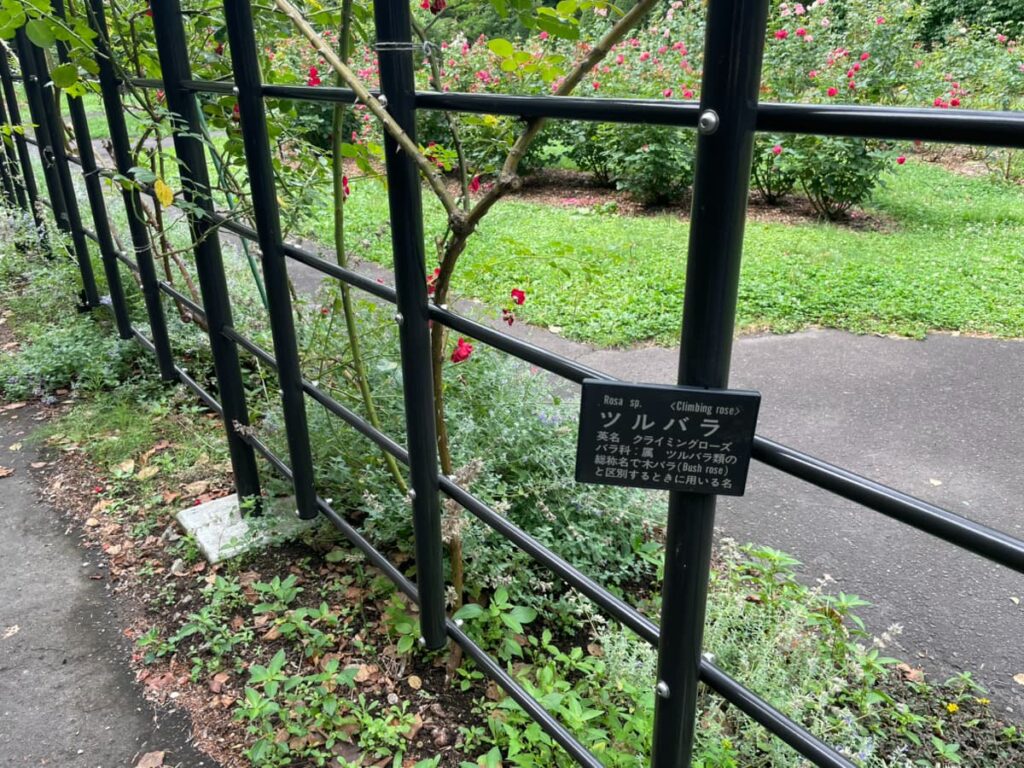 豊平公園