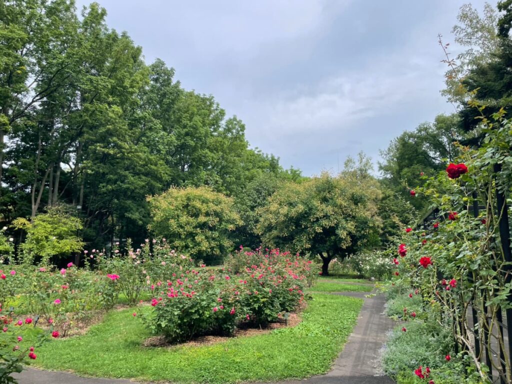 豊平公園