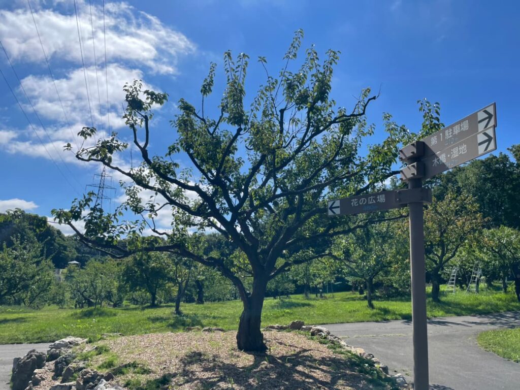 平岡公園