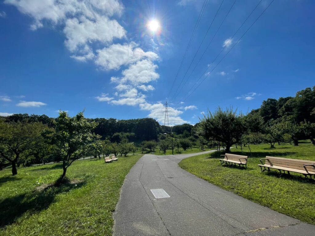 平岡公園