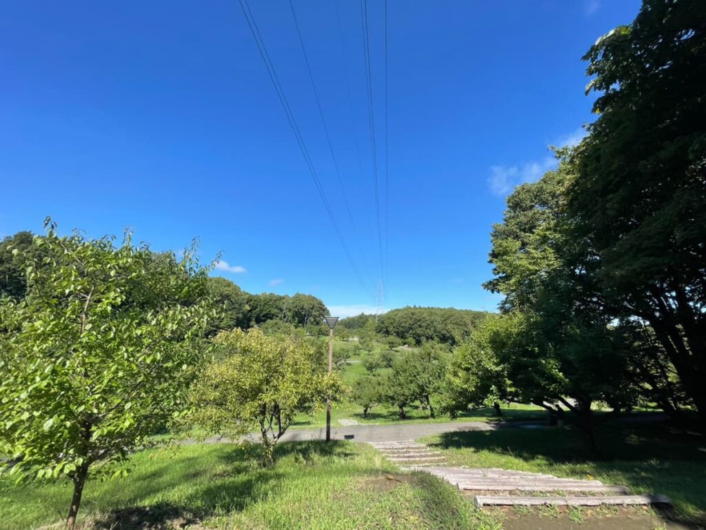 平岡公園