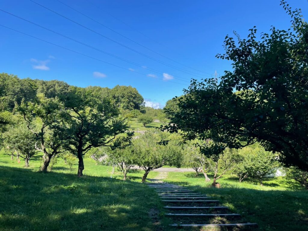 平岡公園
