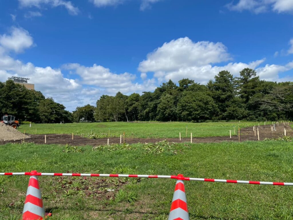 カリンバ遺跡