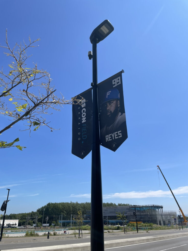 エスコン付近の街灯の写真