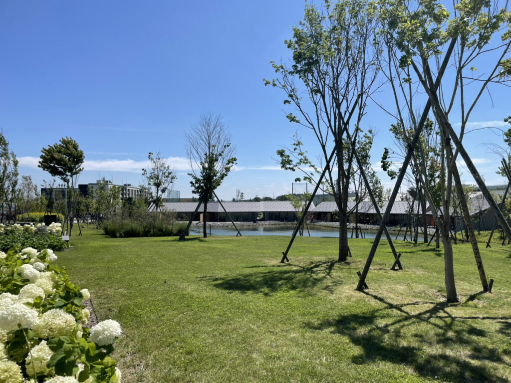 Fヴィレッジの池と芝の広場、白いアジサイと三角屋根の建物