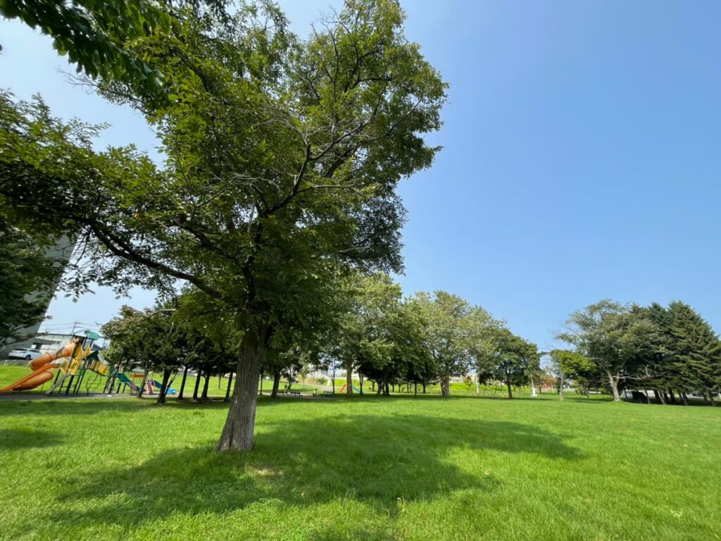 阿蘇公園