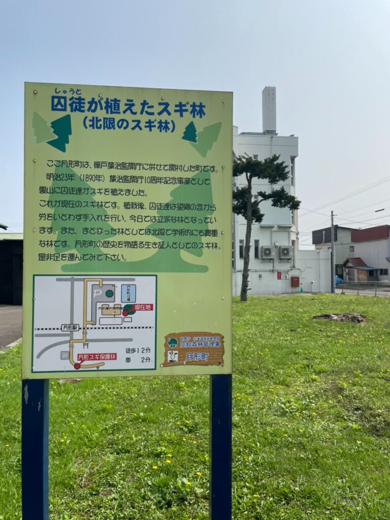 囚徒が植えたスギ林の案内板