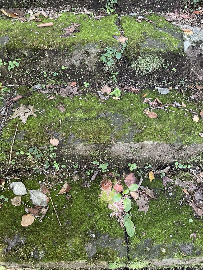 浦臼神社の階段