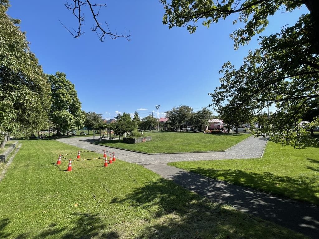 大きな木々と芝生の間を通る栗山公園の散策路