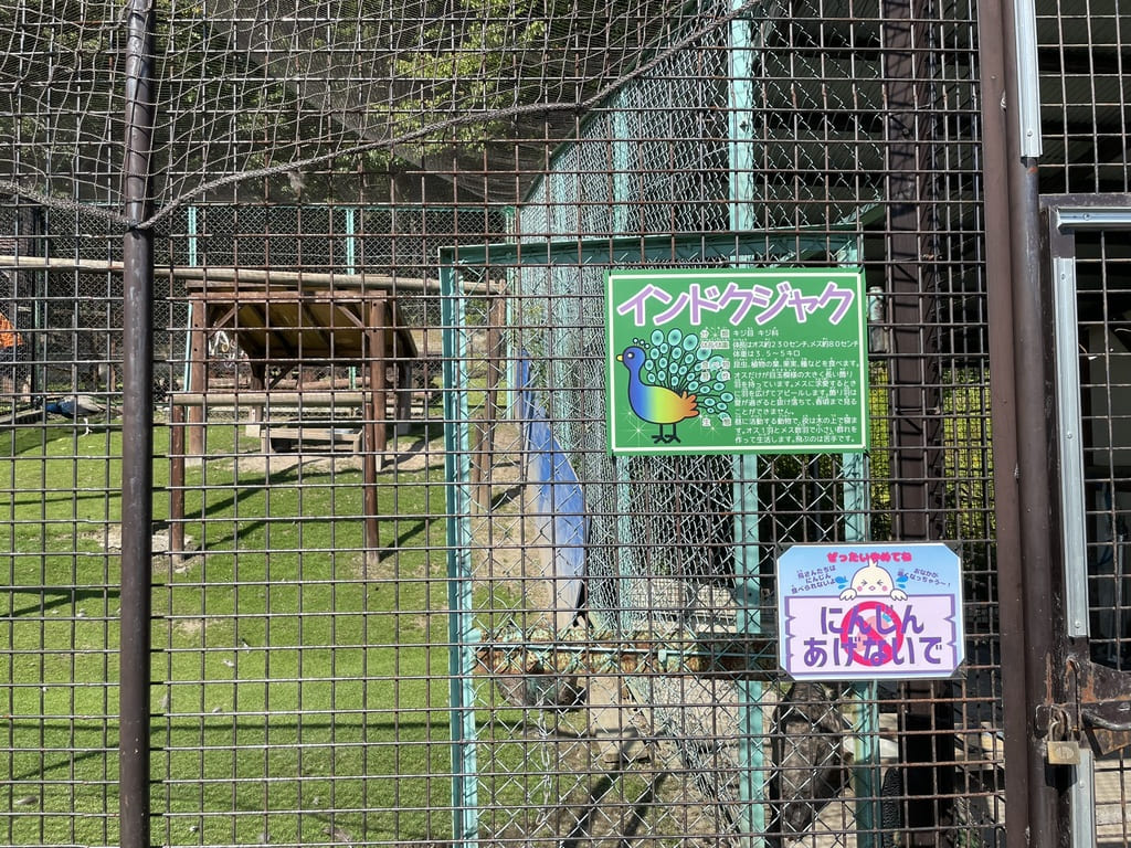 インドクジャクの特徴とにんじん禁止を示すなかよし動物園の掲示