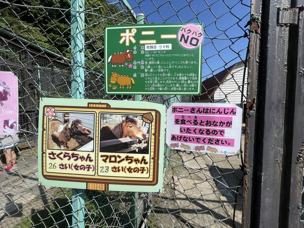 さくらちゃんとマロンちゃんを紹介するなかよし動物園のポニー案内板