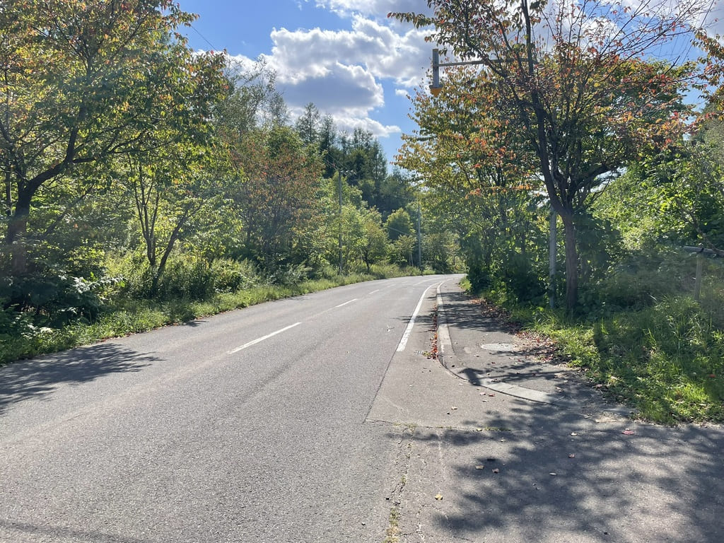 木々に囲まれた栗の樹ファーム周辺の舗装道路