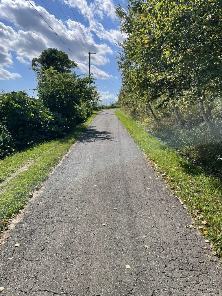 栗の樹ファーム周辺の傾斜がある細い舗装道路
