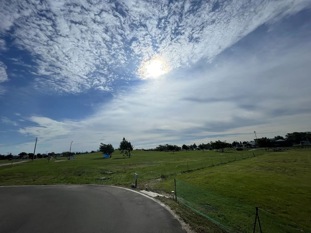 芝生と空の広がりが気持ちよく、開放感のある公園です。