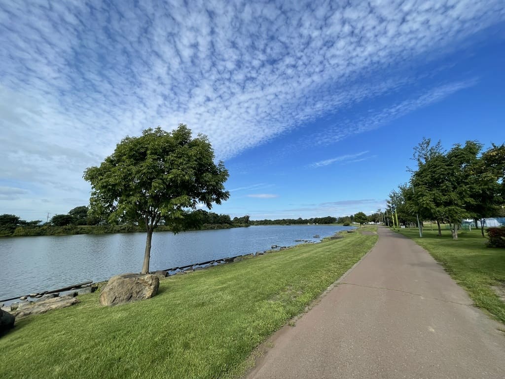 しのつ湖沿いに続くしのつ公園の散策路