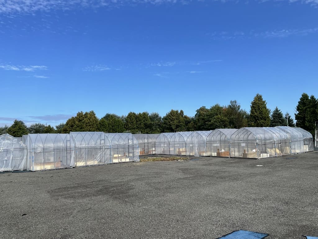 しのつ公園周辺に並ぶ冬のわかさぎ釣りに使われるビニールハウス