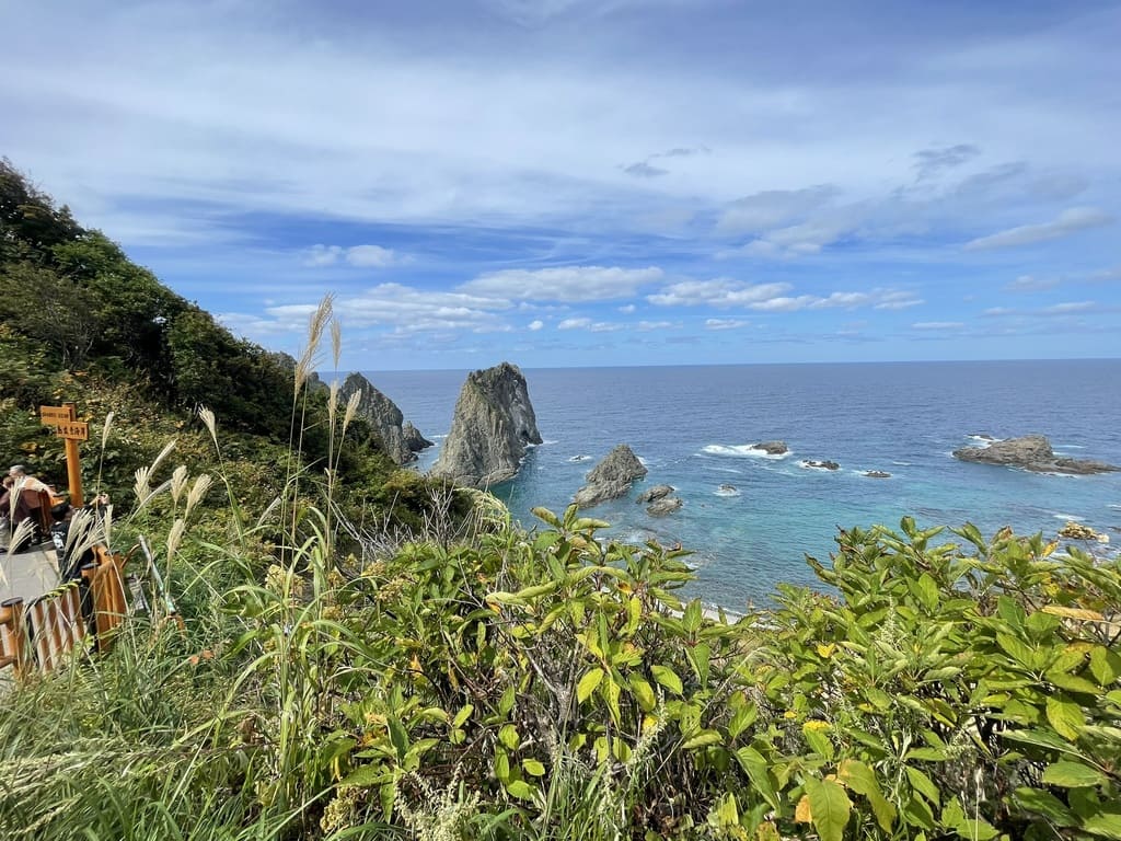 島武意海岸の岩礁と青い日本海