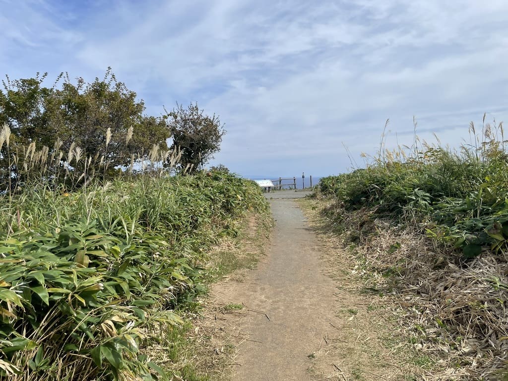 積丹岬灯台付近から海側へ続く遊歩道