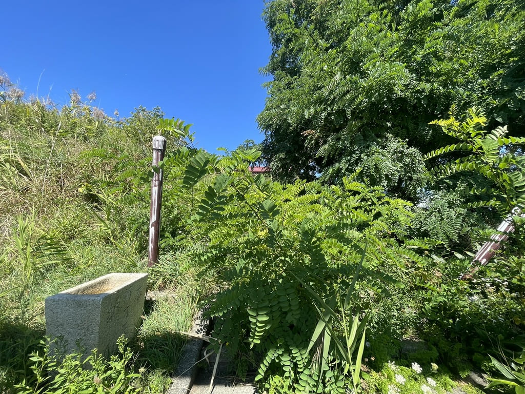 植物が参道方向へ伸びていた厚田八幡神社の石段