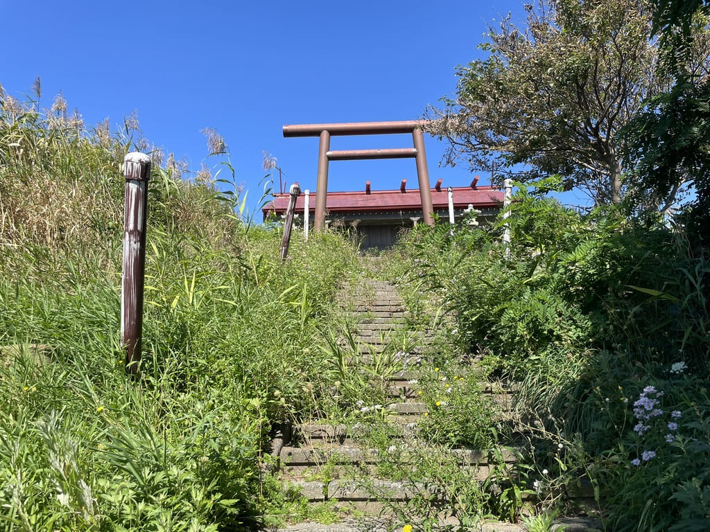 厚田八幡神社の石段上部から見える鳥居と社殿