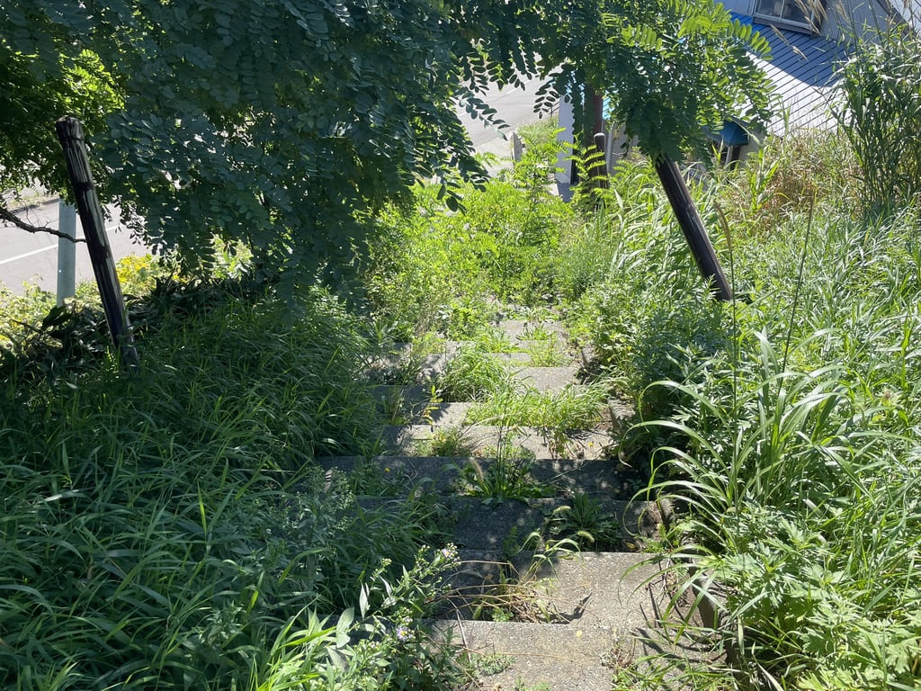 厚田八幡神社の境内から下る草木に囲まれた石段