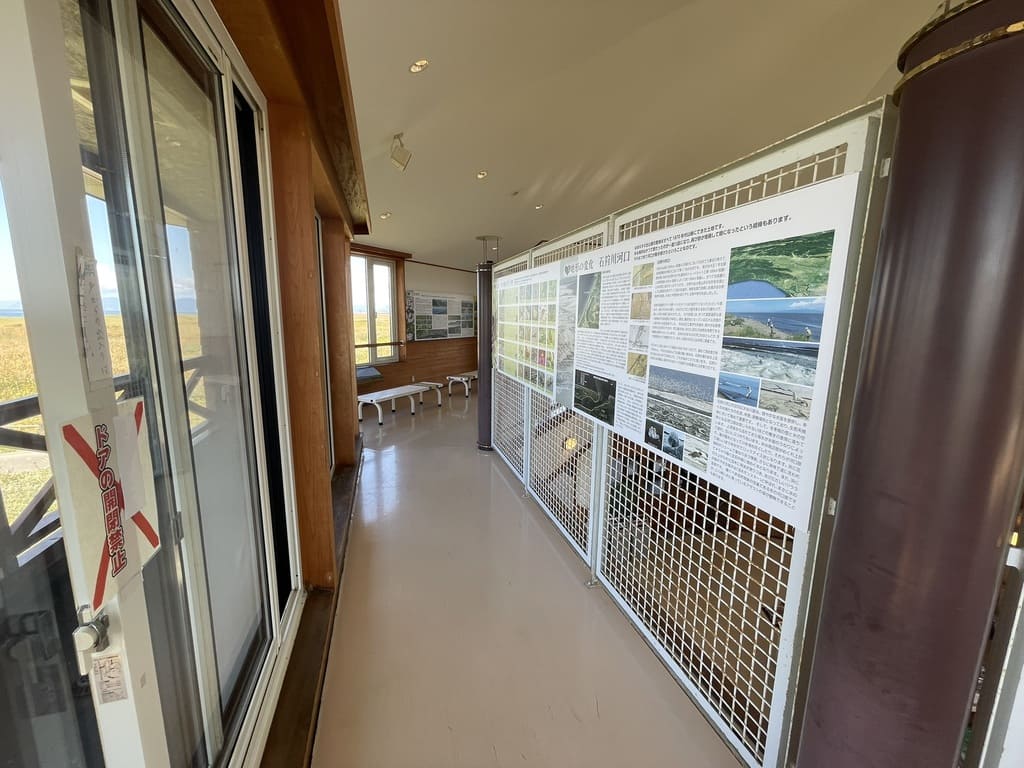 はまなすの丘公園ヴィジターセンター館内展示