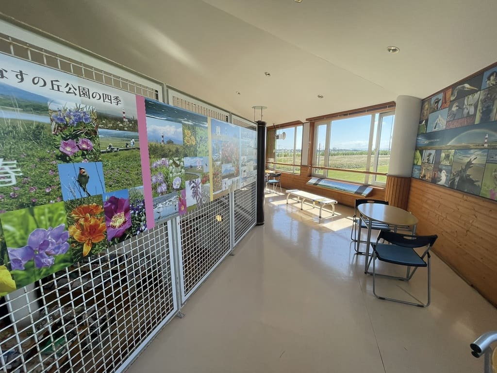 はまなすの丘公園の四季と植物を紹介する展示