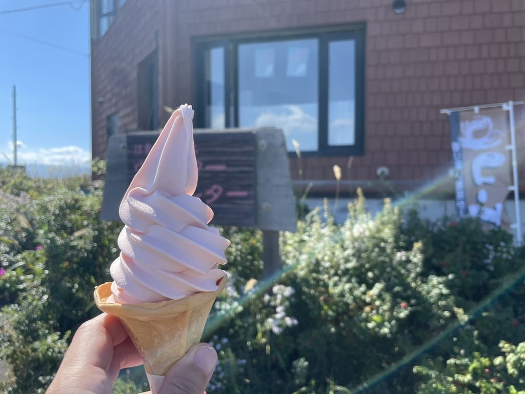 はまなすの丘公園で実際に購入したハマナスソフトクリーム